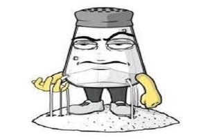 SALTY MAN WHOLESALE